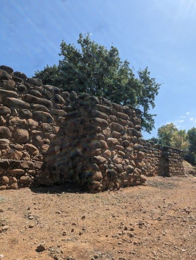 Tel Dan Nature Reserve