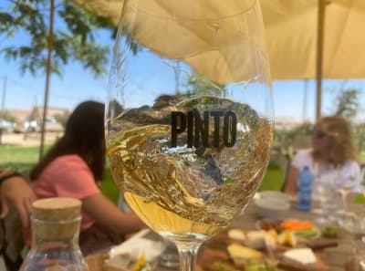 A Day in the Judean Hills: Israel’s Wine Country, from Ancient Vines to Modern Boutique Wineries