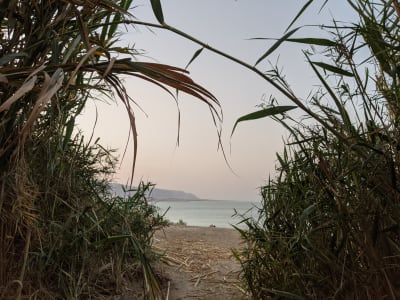 Dead Sea: Ein Gedi & Ein Bokek