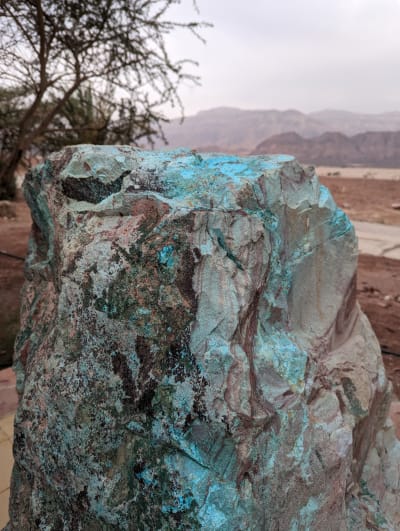 Eilat & the Arava: Coral, Desert Wildlife & Ancient Copper