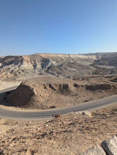 Sde Boker & Ben-Gurion’s Negev Vision