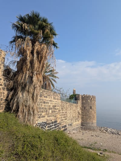 Hamat Tiberias & Tiberias: Sages, Synagogues & Hot Springs 