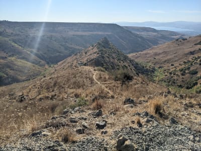 Gamla: Jewish Resistance & Golan Landscapes 