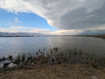 Hula Valley: Wetlands & Bird Migration 