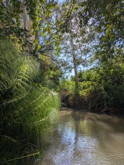 Upper Galilee Springs: Tel Dan, Banias & Nahal Snir
