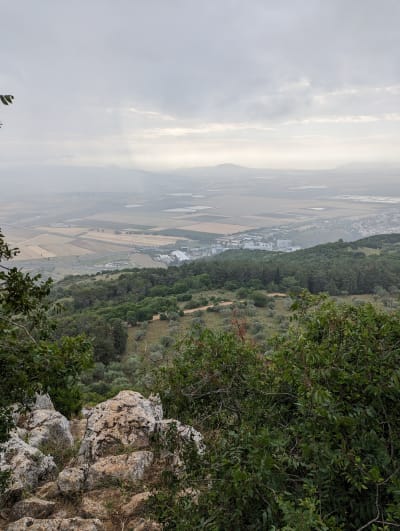 Haifa & Carmel: Gardens, Cultures & Mountain Views 