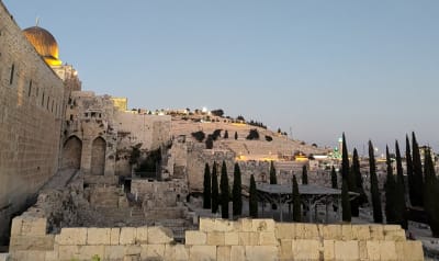 Davidson Archaeological Park & Southern Wall Excavations