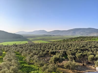 Agriculture