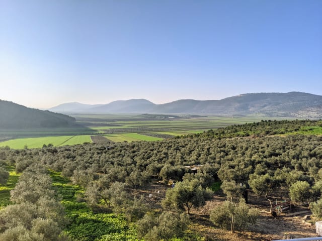 Agriculture