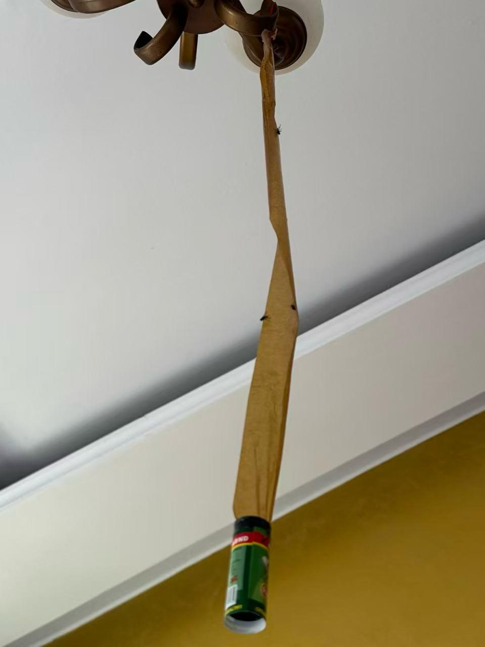 Automatic Fly Catcher 6