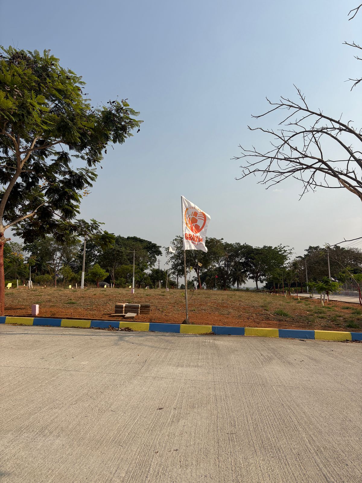 Image 6