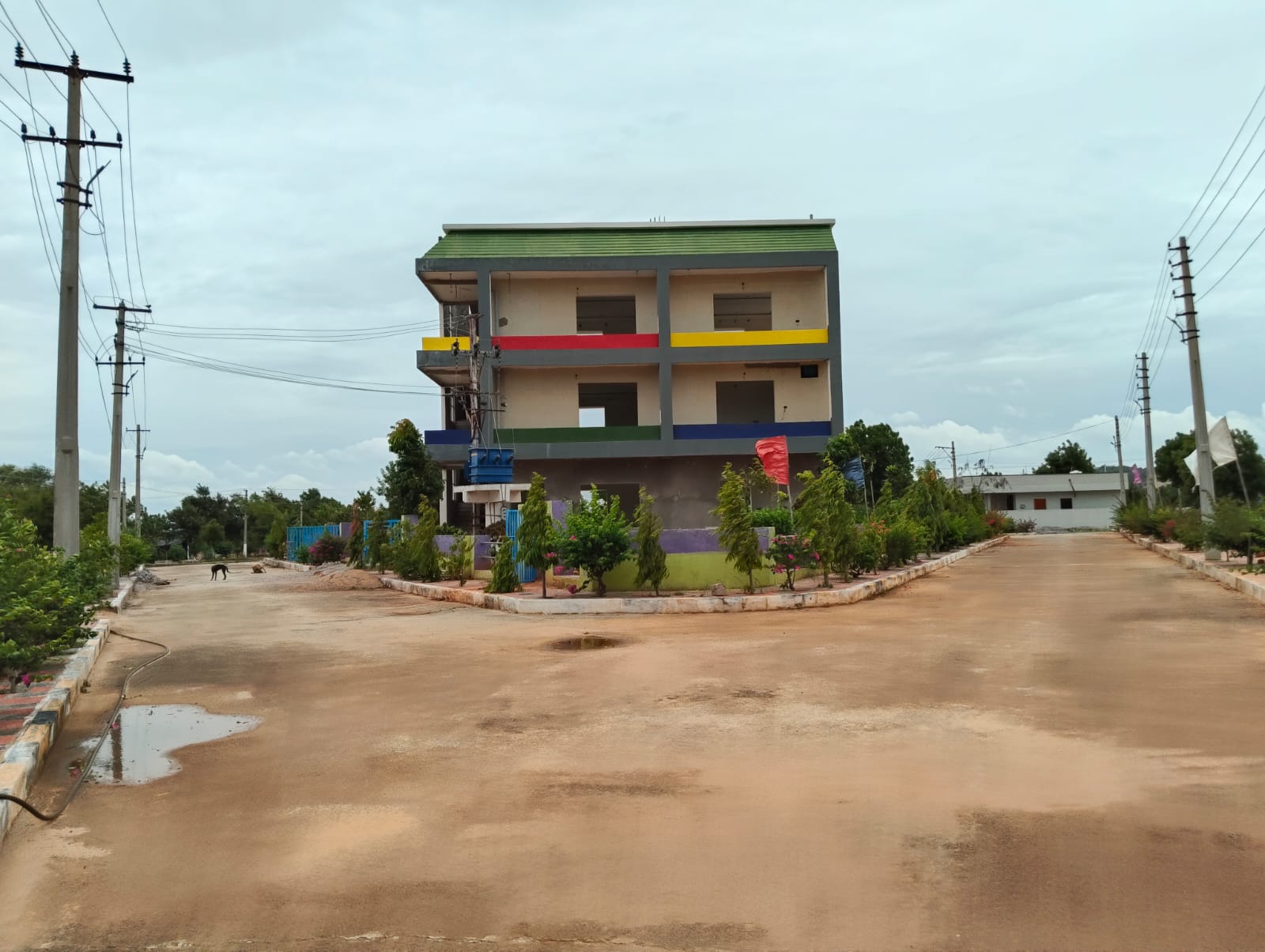 Image 5