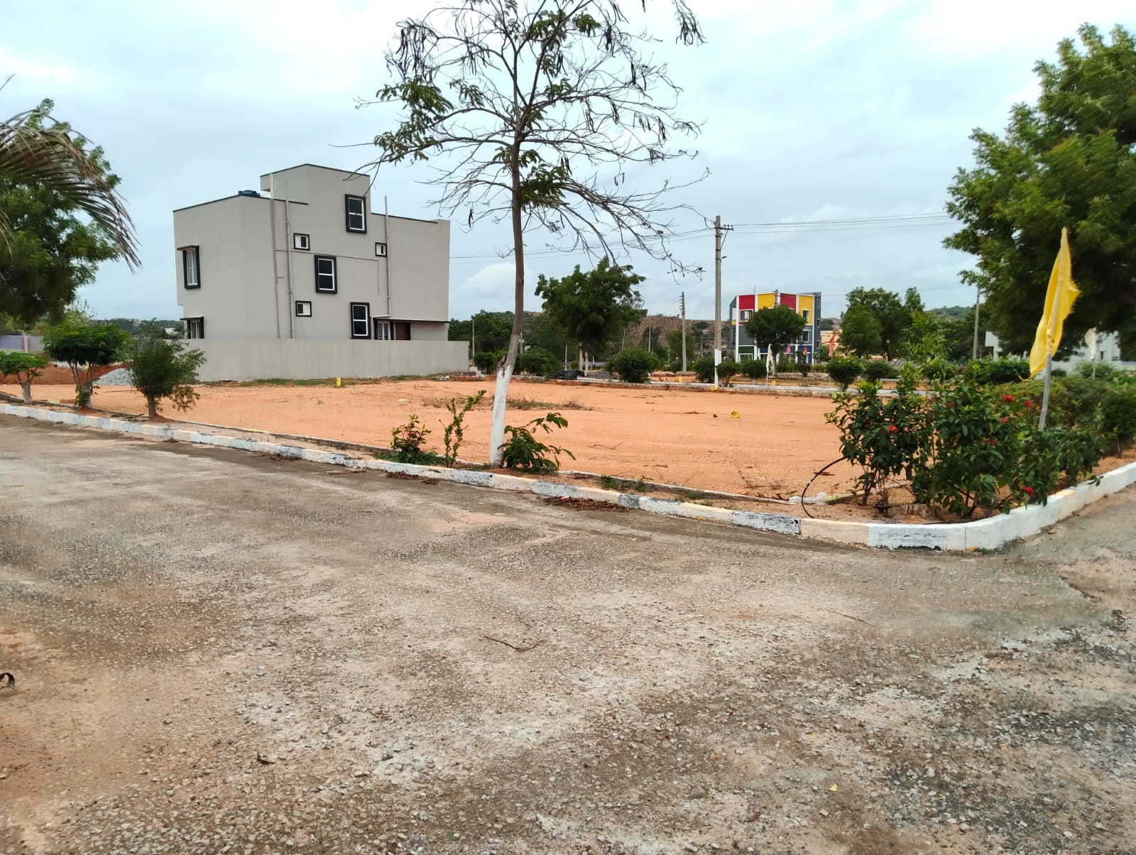 Image 12