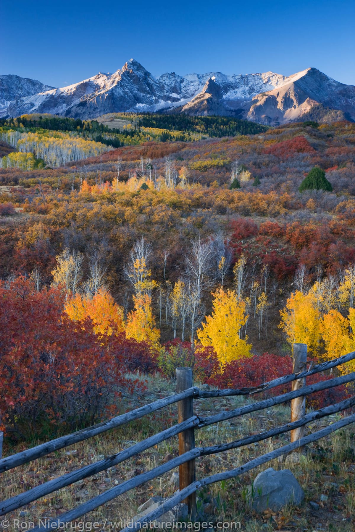 Dallas Divide fall colors