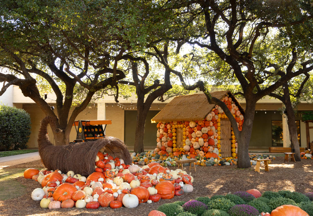 pumpkin patch family activities fall