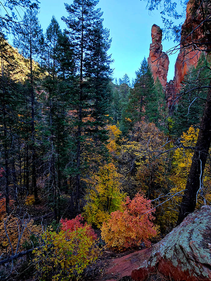 oak creek canyon fall foliage
