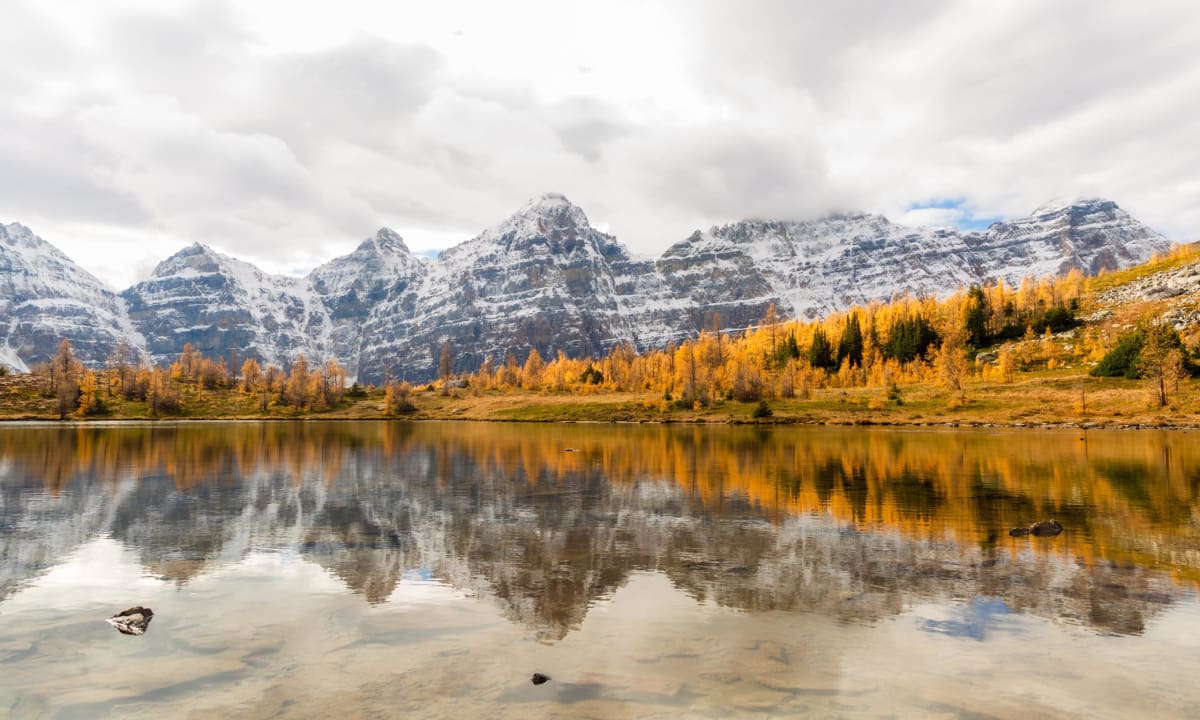 Banff larch valley golden fall colors mountains