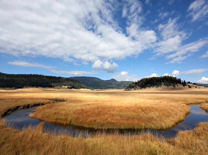 Valles Caldera National Preserve autumn grasslands
