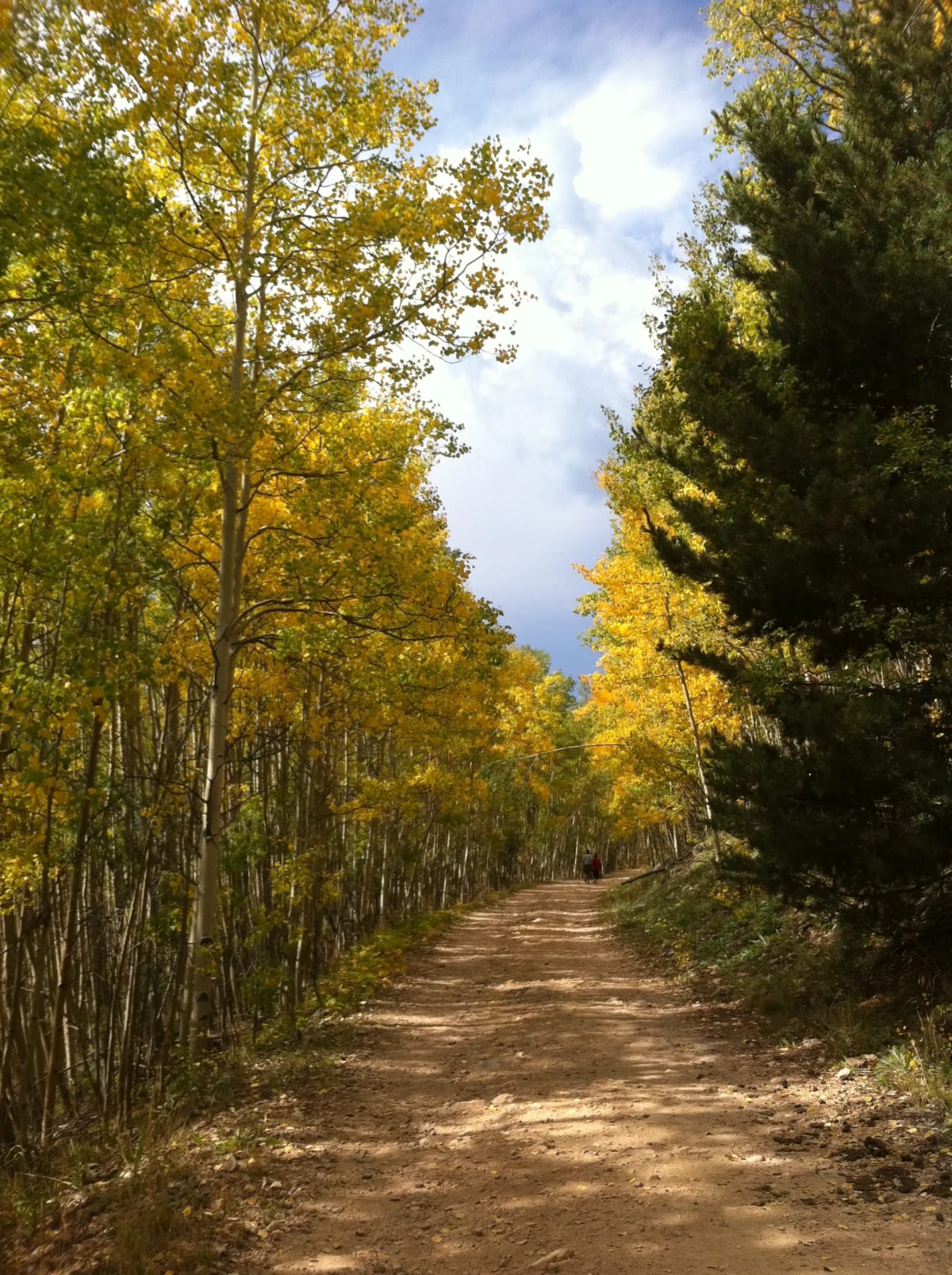 santa fe aspen grove fall hiking trail