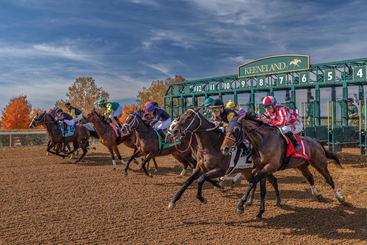 Keeneland fall horse racing Lexington Kentucky