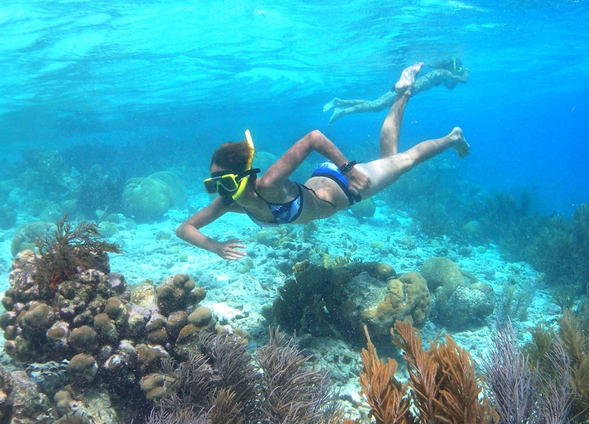 Bonaire coral reef diving underwater Caribbean