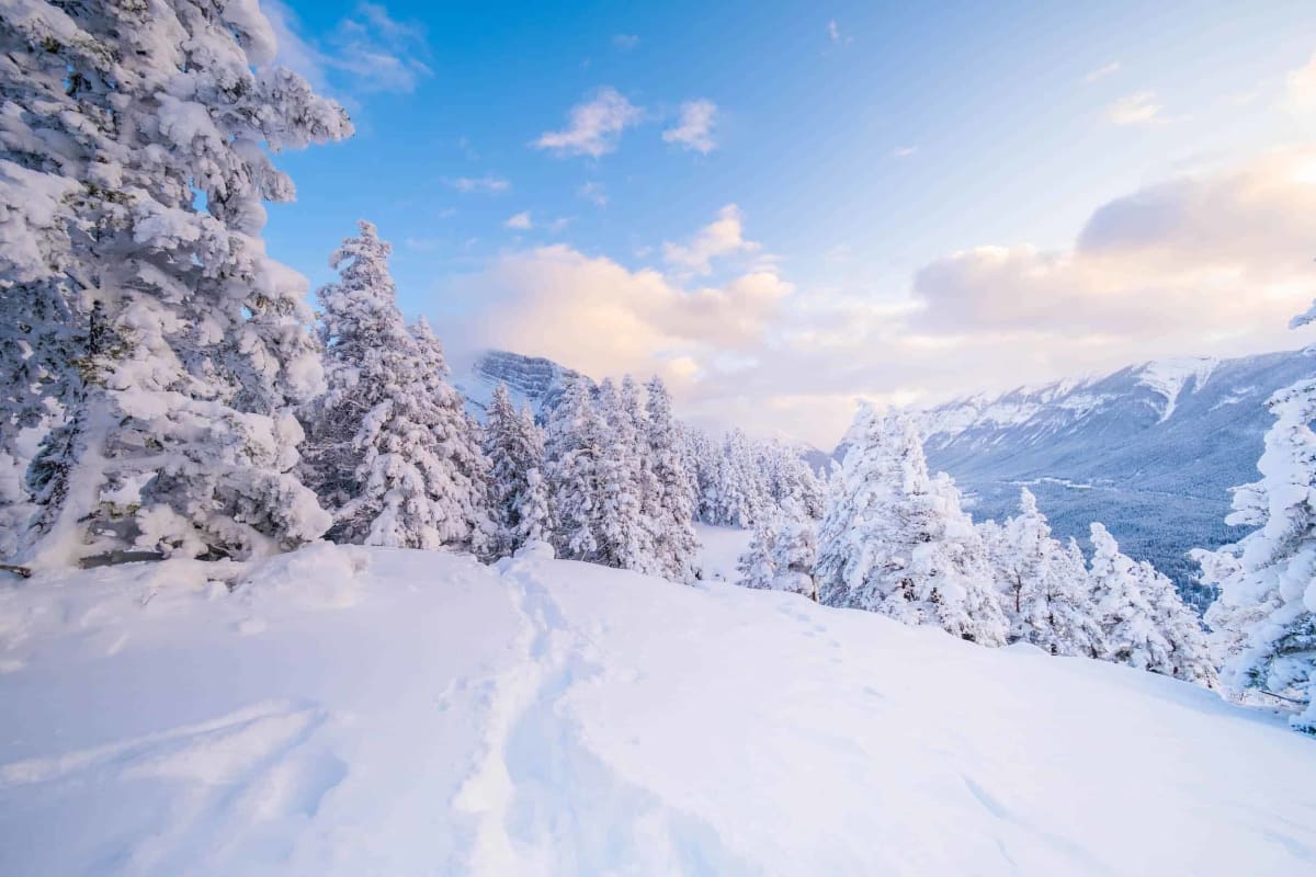 Banff winter hiking trail snow mountains