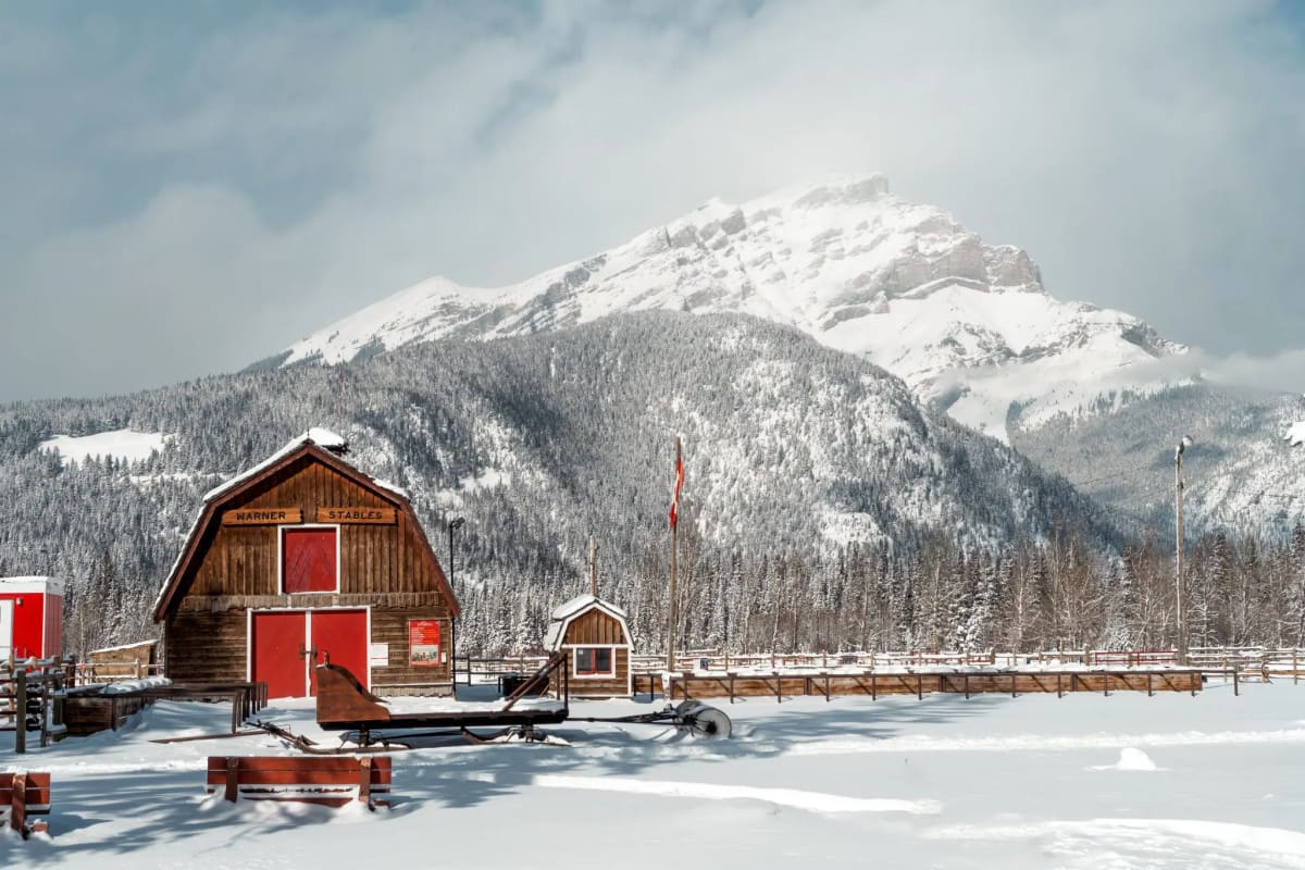 horse drawn sleigh ride Banff winter mountains