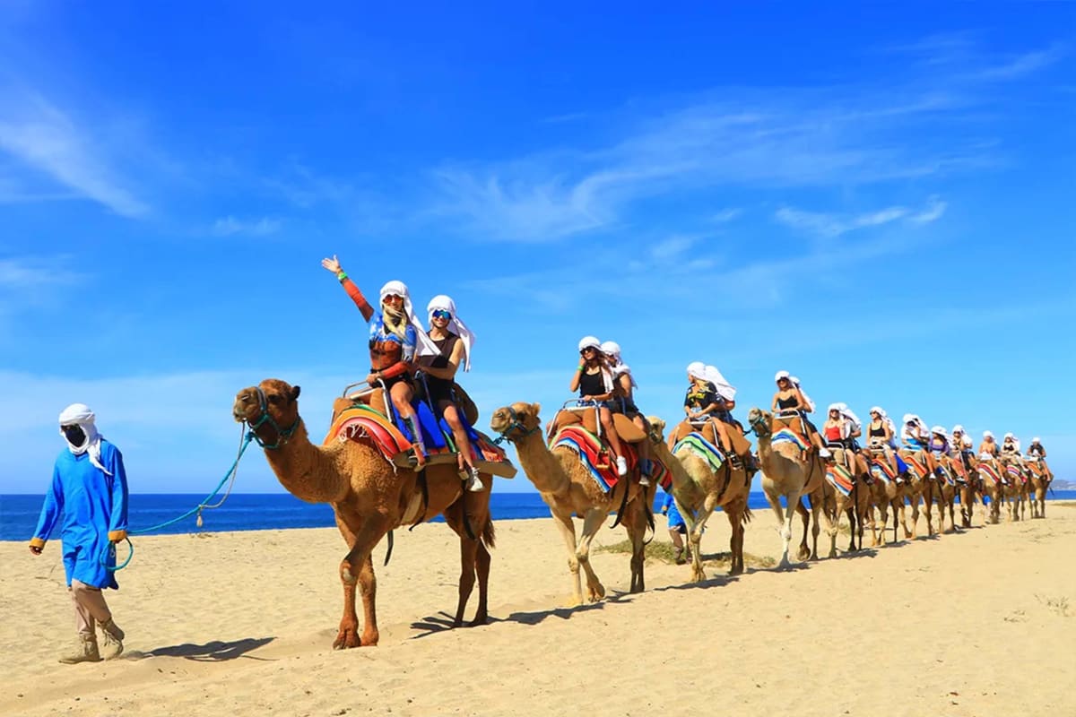 cabo san lucas arch beach desert landscape
