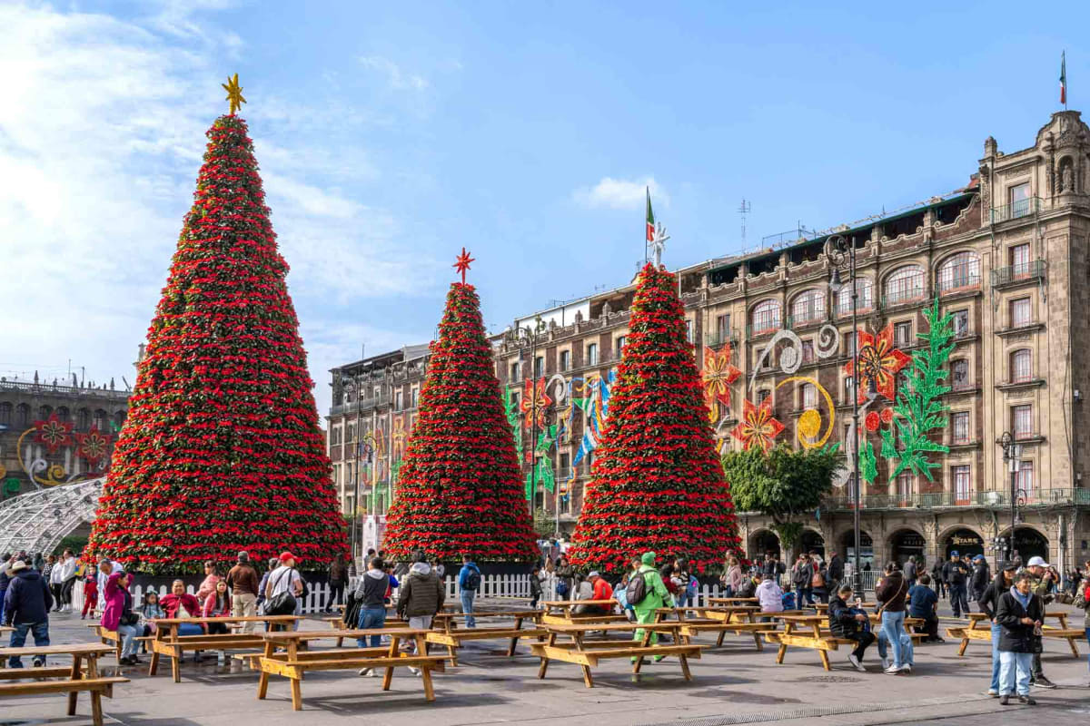 Mexico City Zocalo Christmas lights decorations December