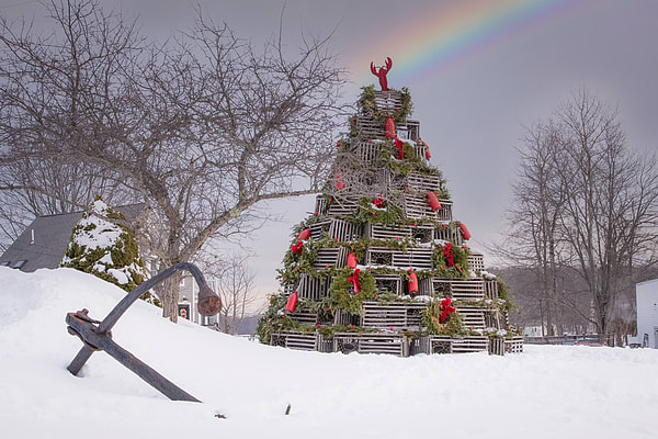 Kennebunkport Cape Porpoise lobster trap tree winter
