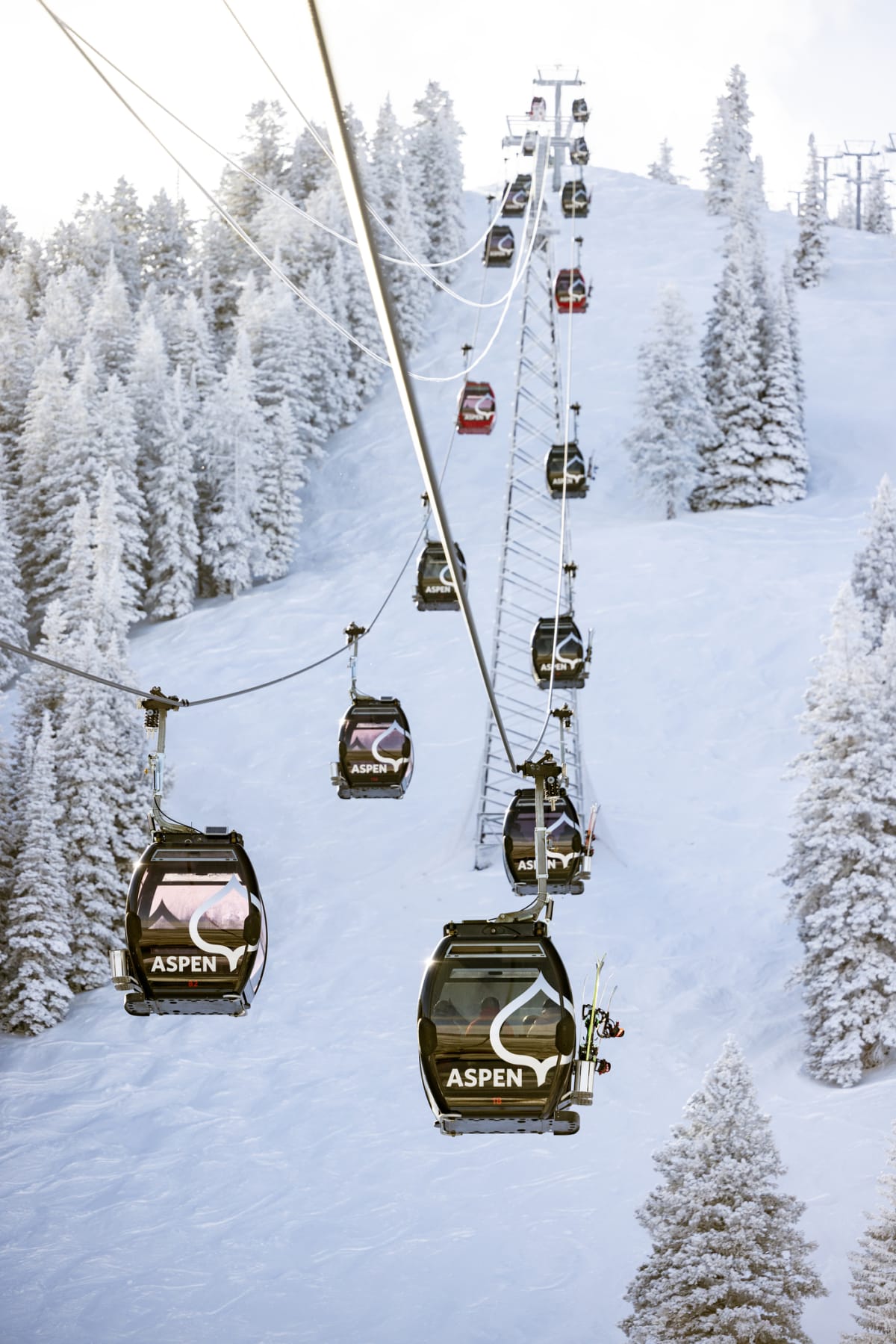 Aspen Mountain ski runs steep terrain winter