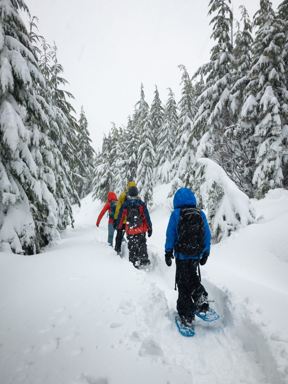 ACES snowshoe tour Aspen Mountain winter