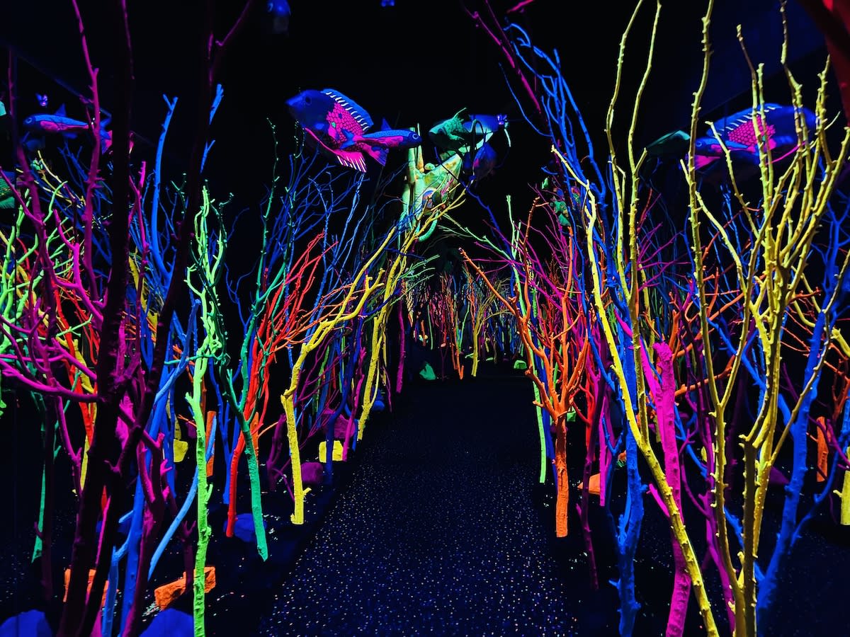 Meow Wolf House of Eternal Return neon room