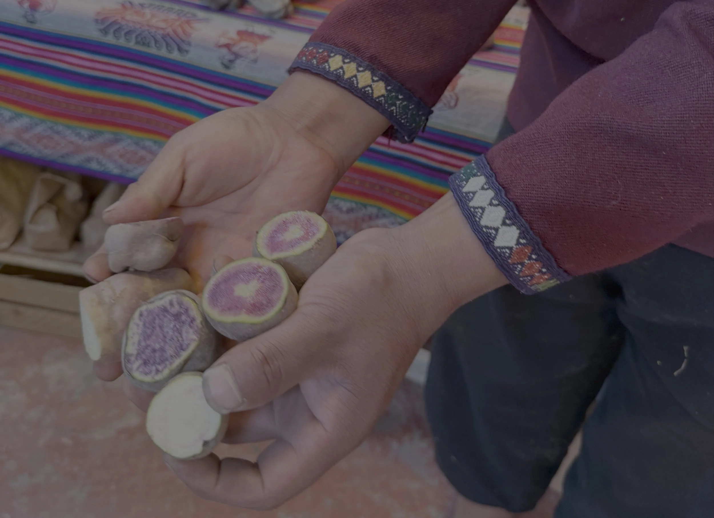Parque de la Papa potato park Sacred Valley