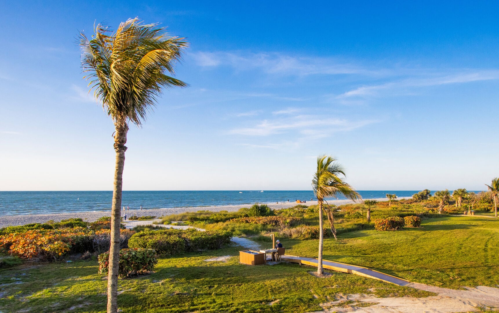 Sanibel Island Florida shell beach and palms