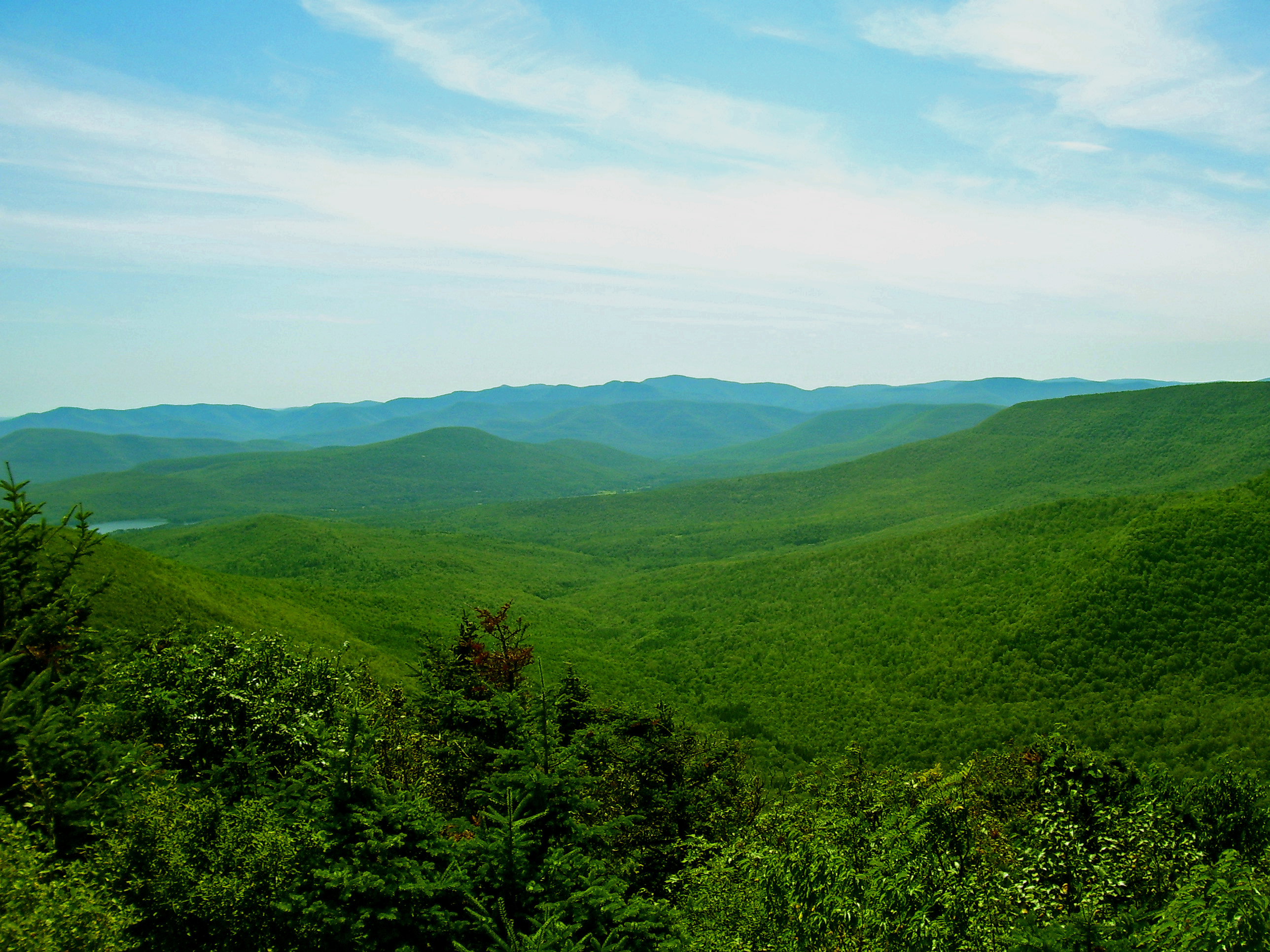 catskills mountain summer