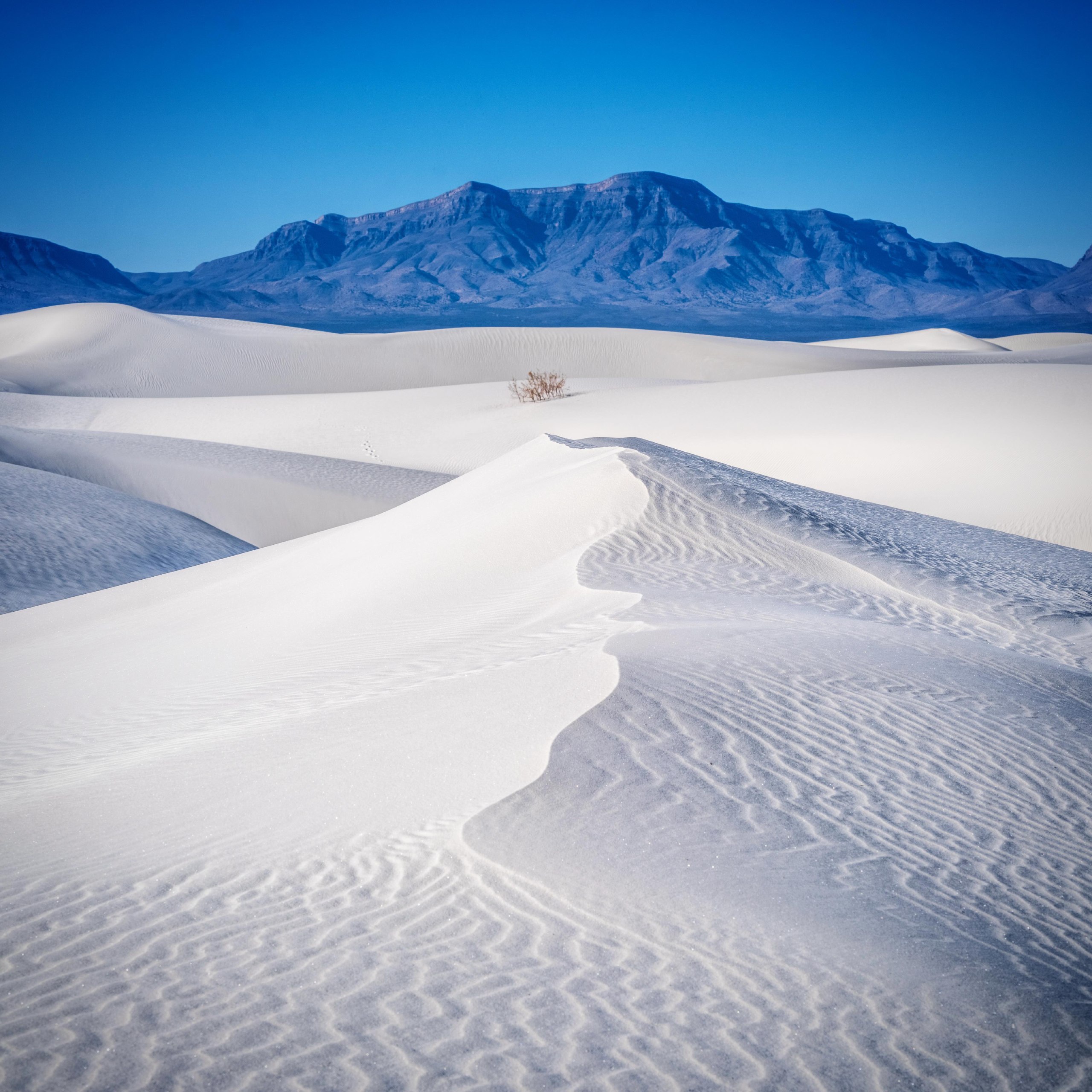 White Sands National Park dunes