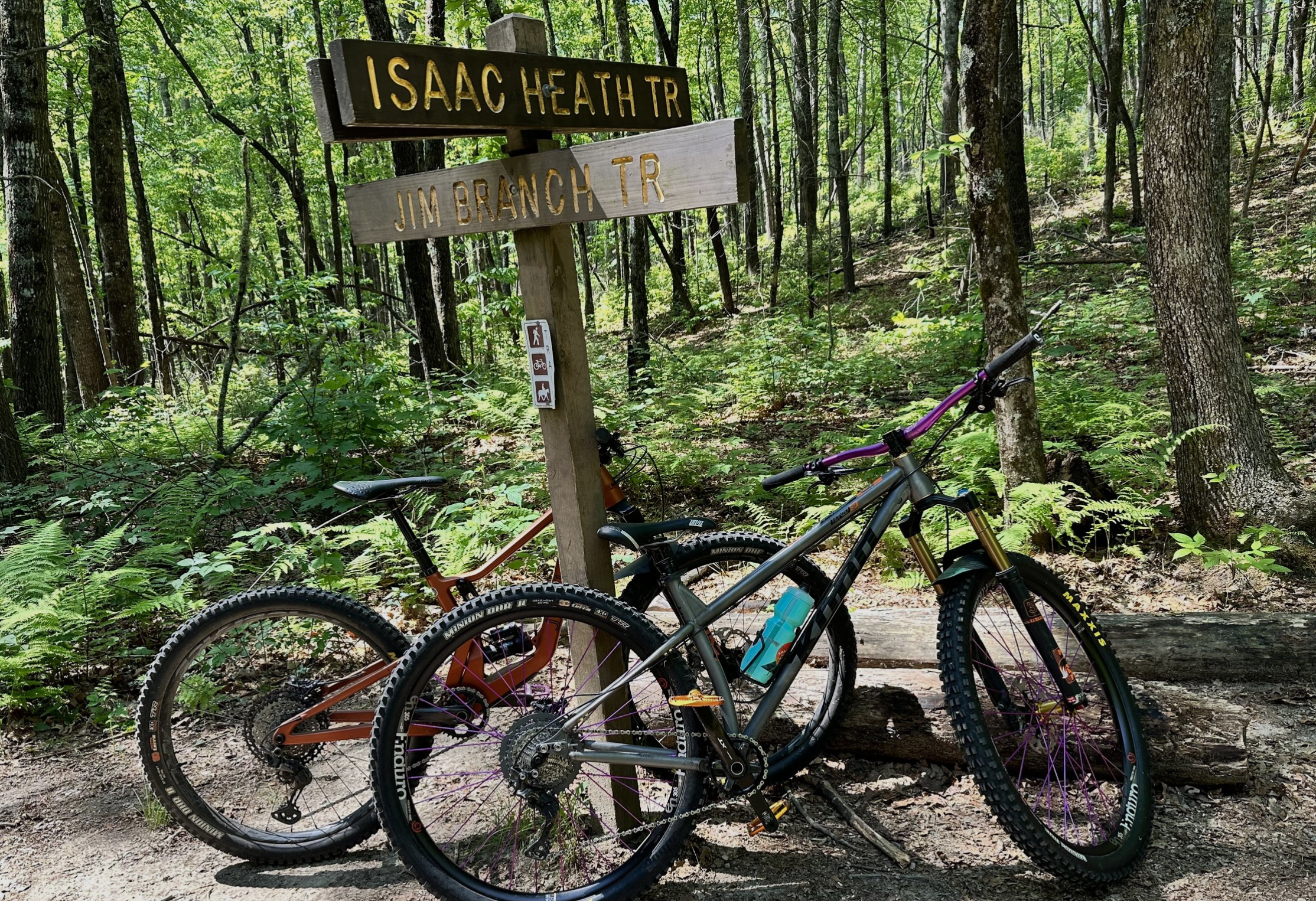 Pisgah National Forest mountain biking