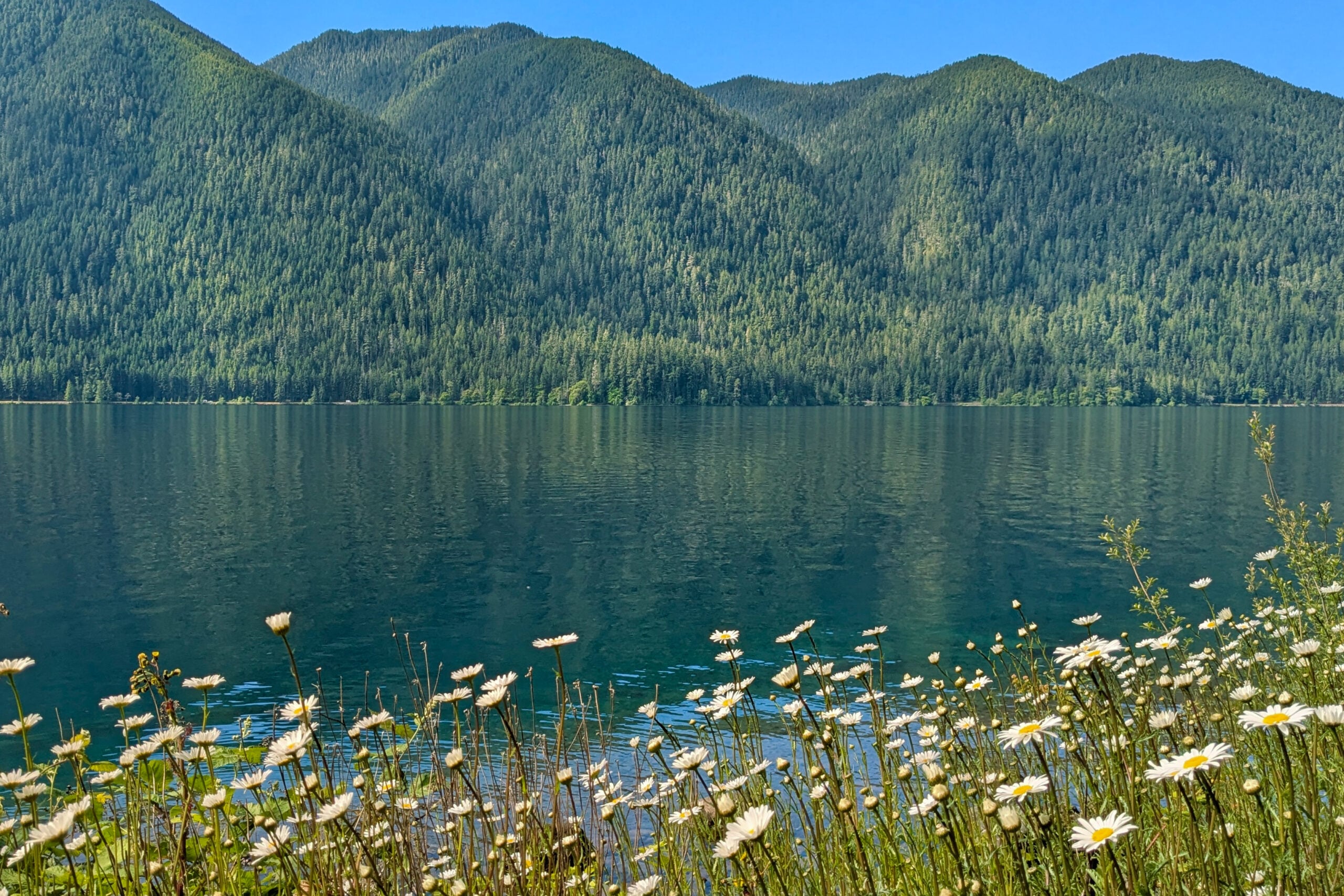 lake crescent olympic national park