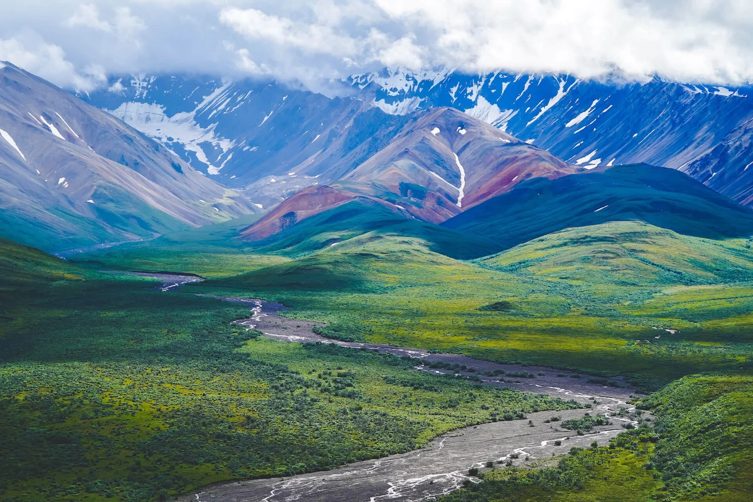 denali national park landscape