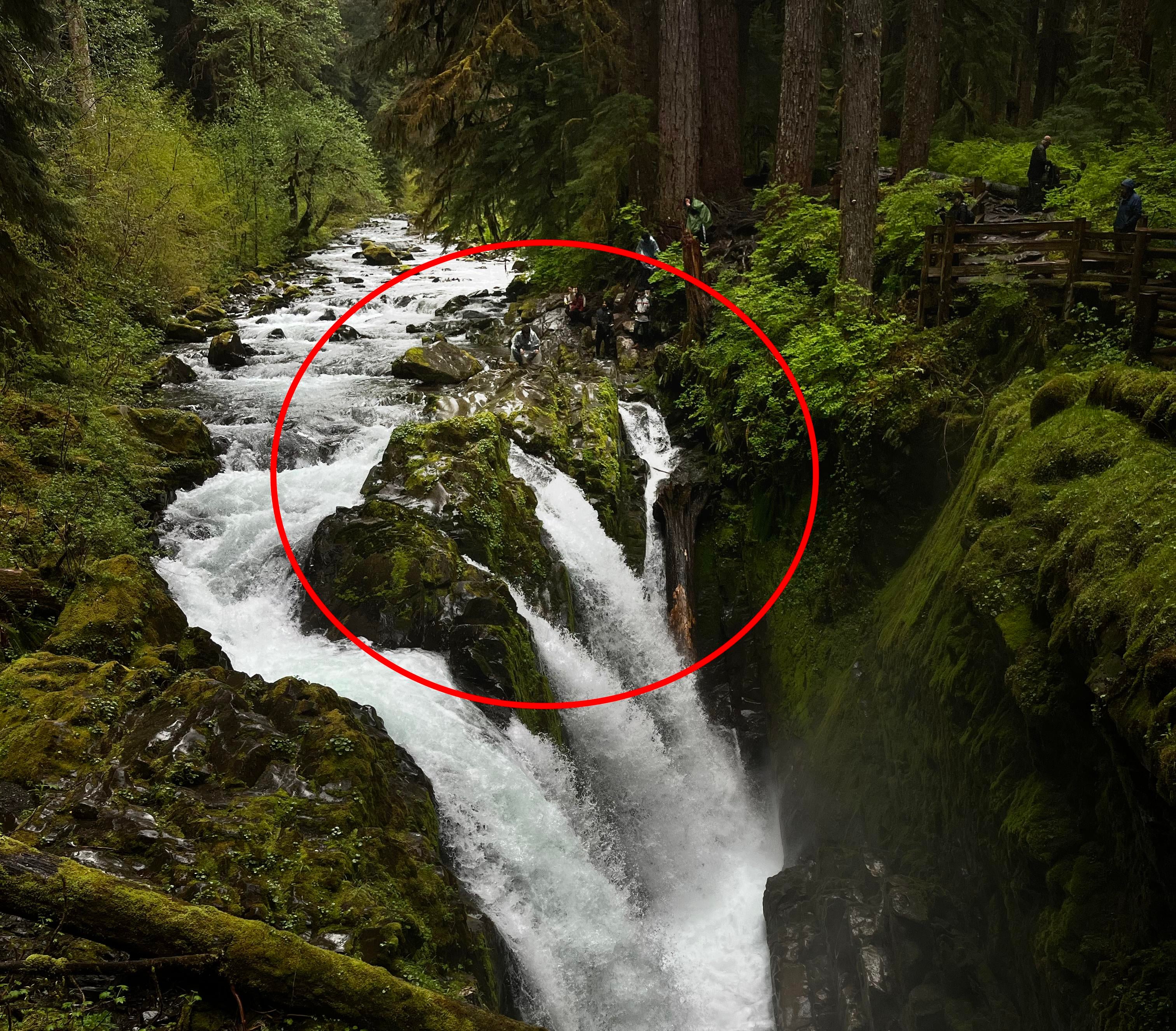 Sol Duc Falls Olympic National Park