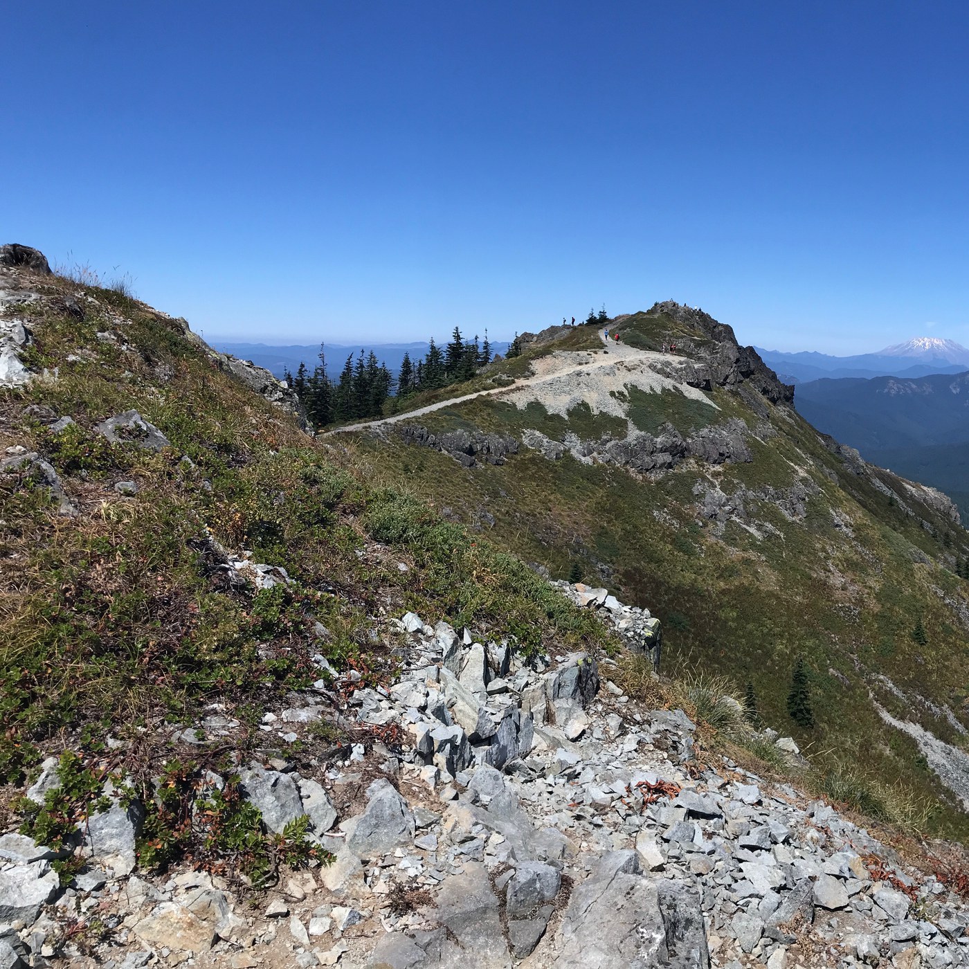 Silver Star Mountain Washington
