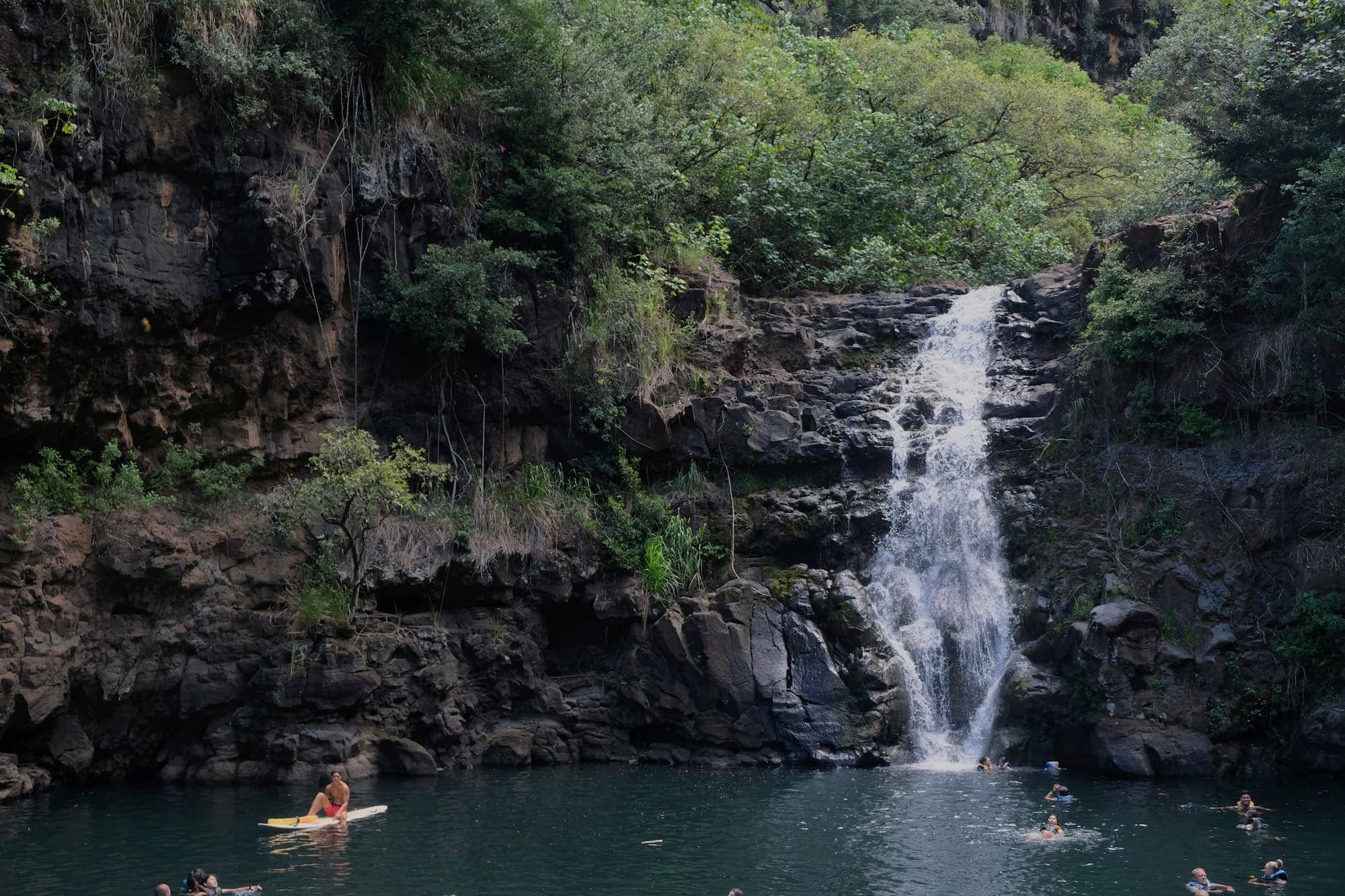 Waimea Falls botanical garden