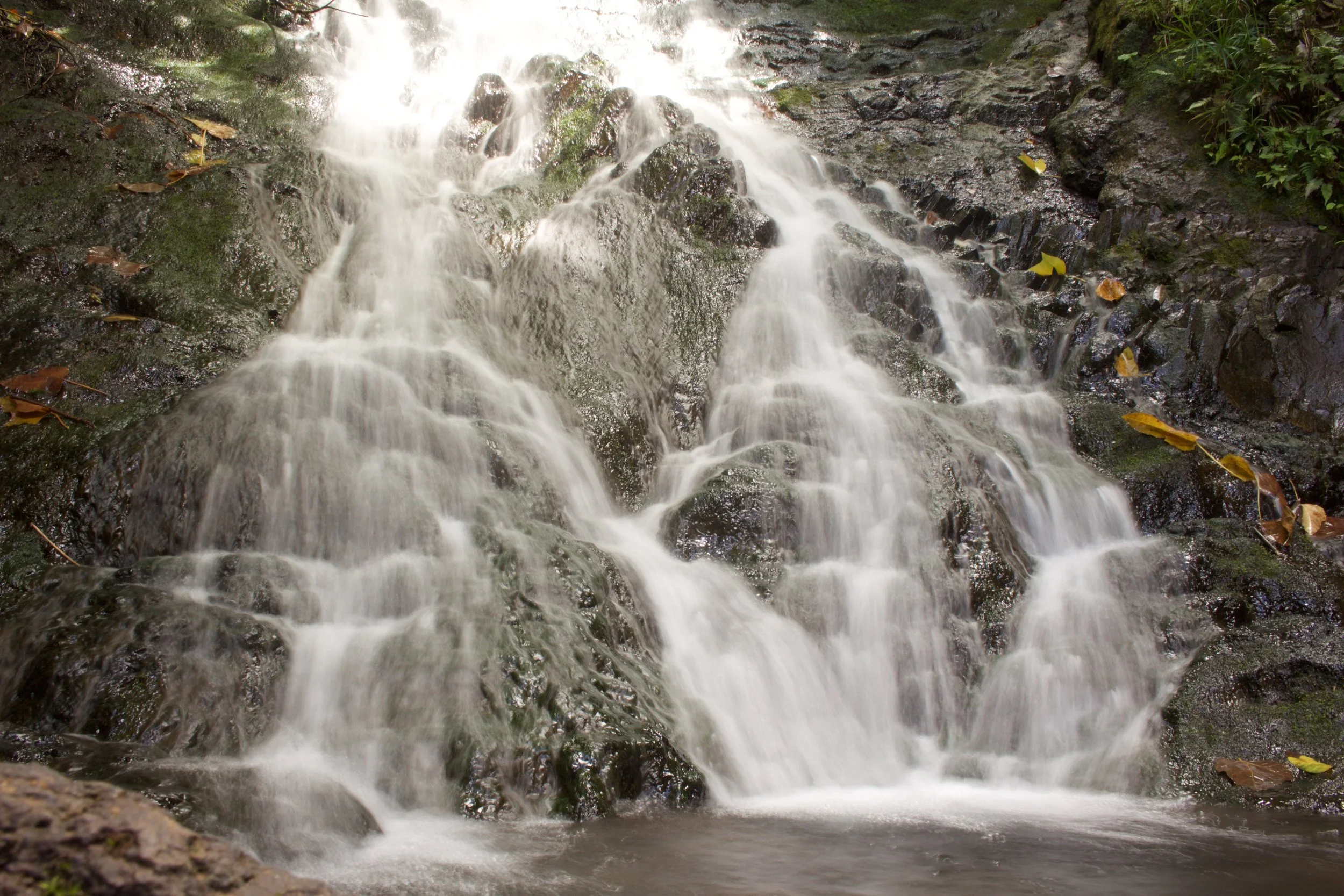 Likeke Falls Oahu