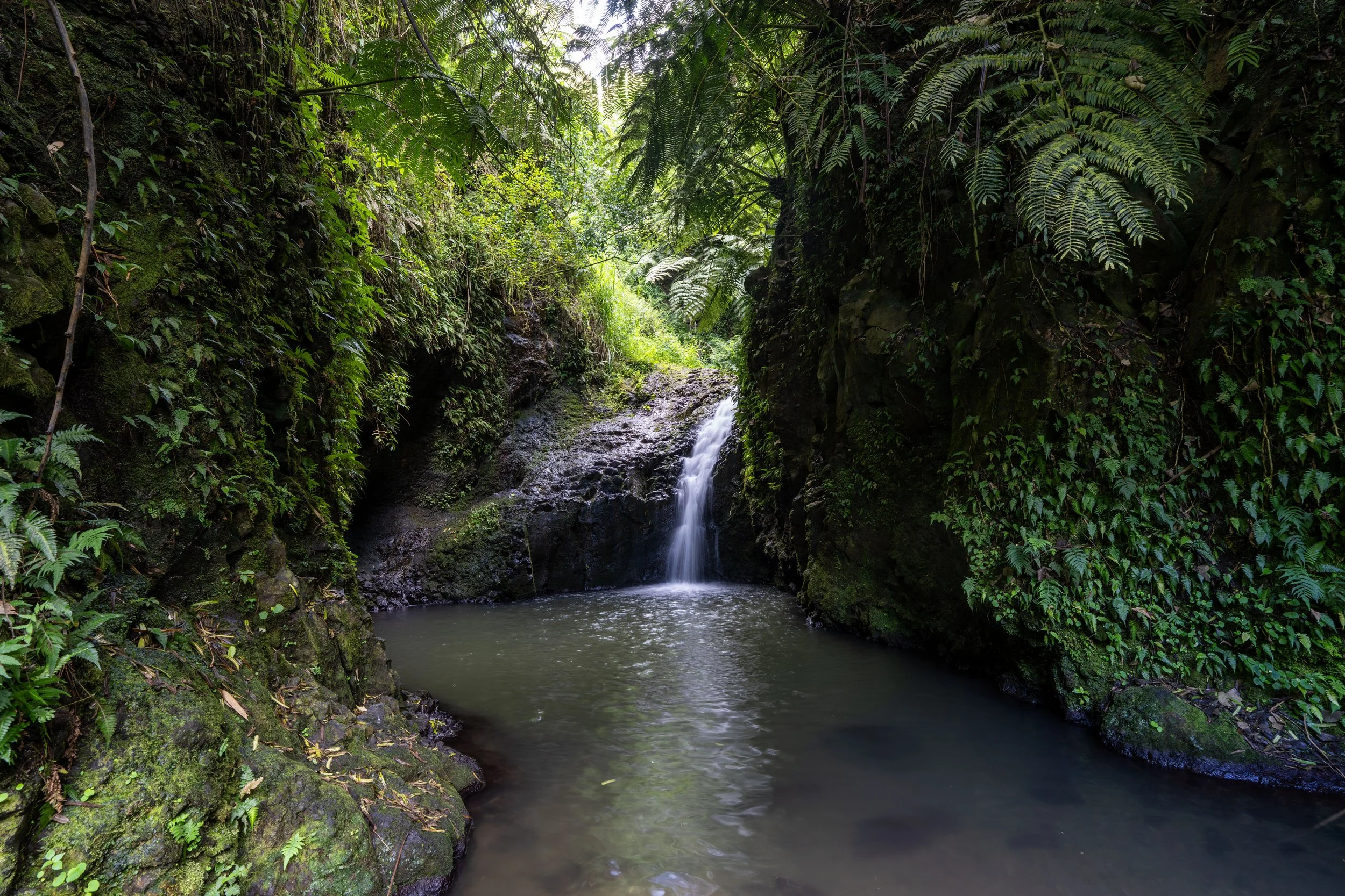 Maunawili Falls hike