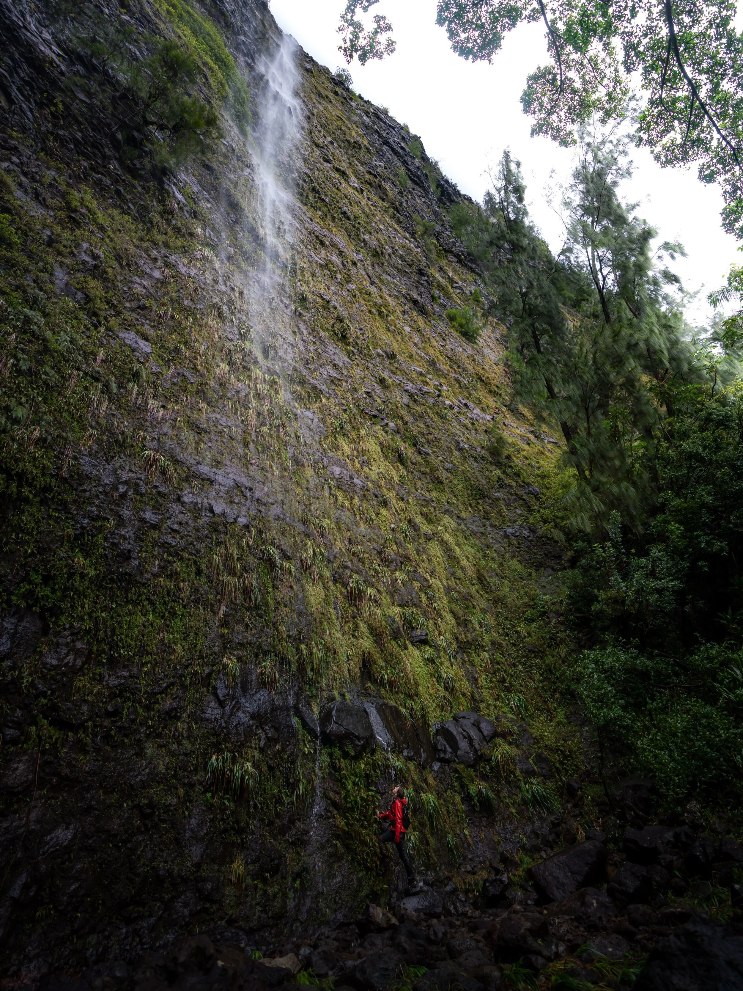 Waipuhia Falls Hawaii