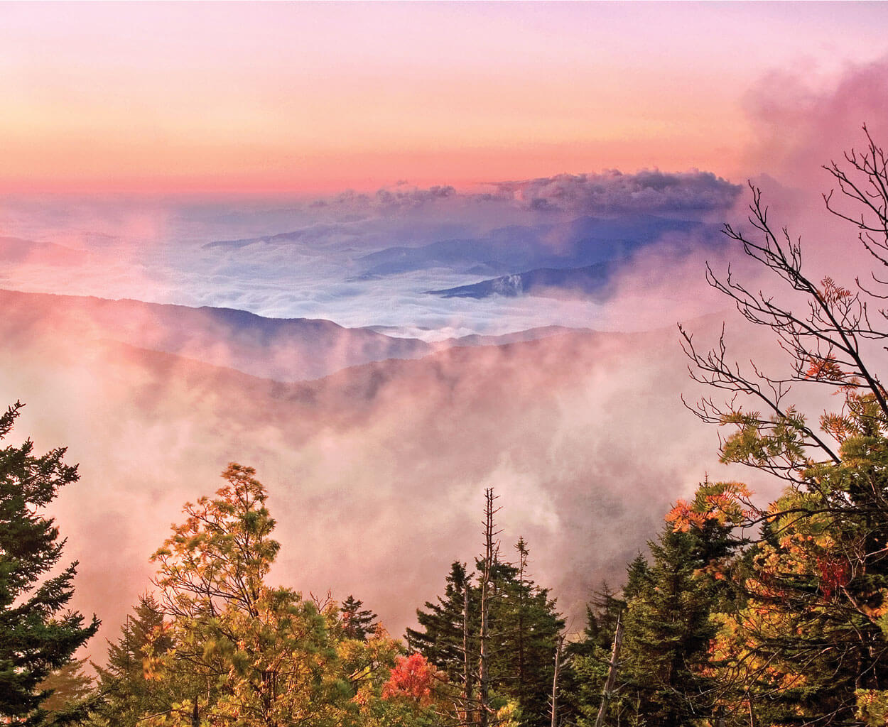 Great Smoky Mountains fall mist