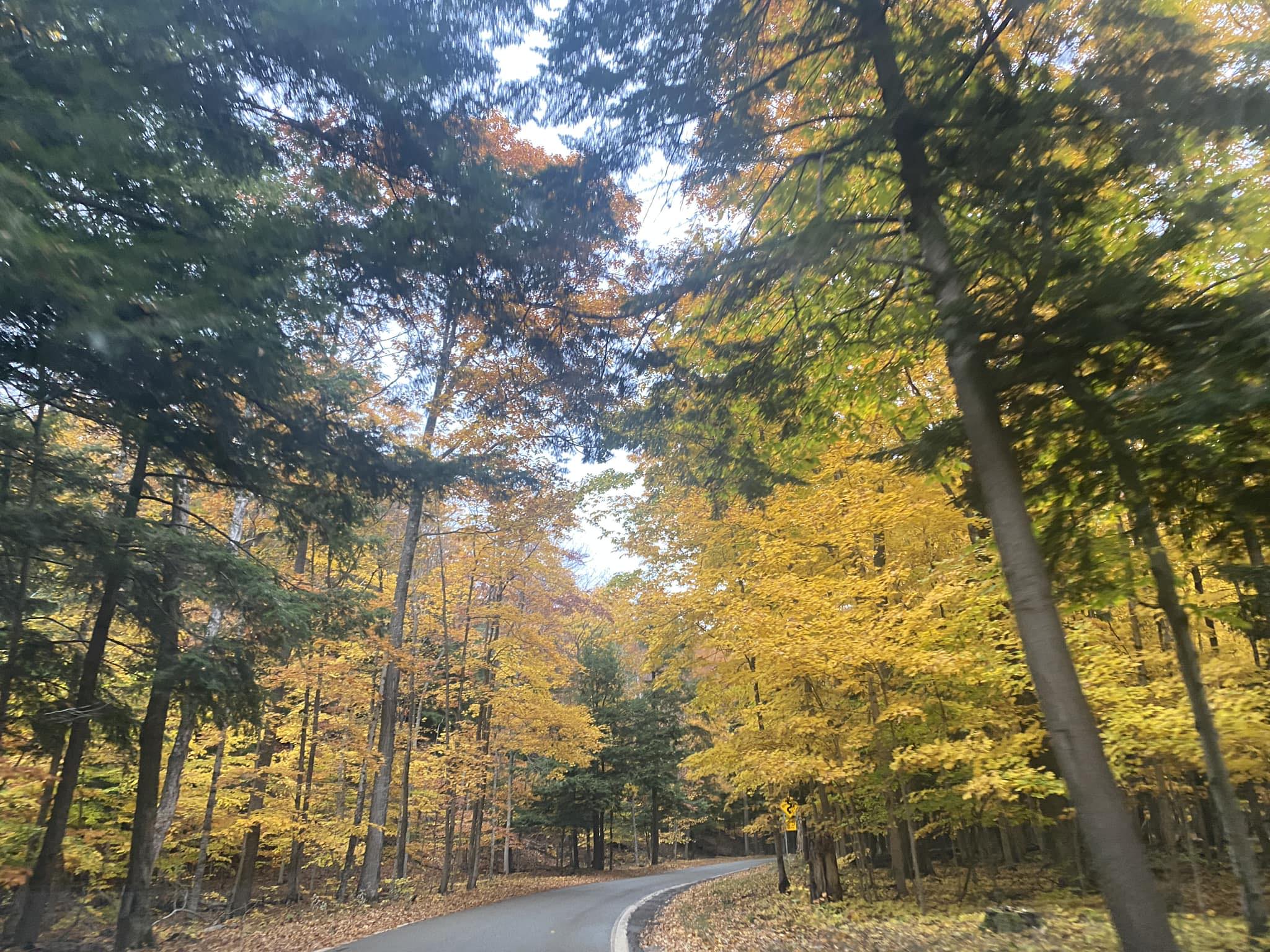 labor day weekend road trip ideas