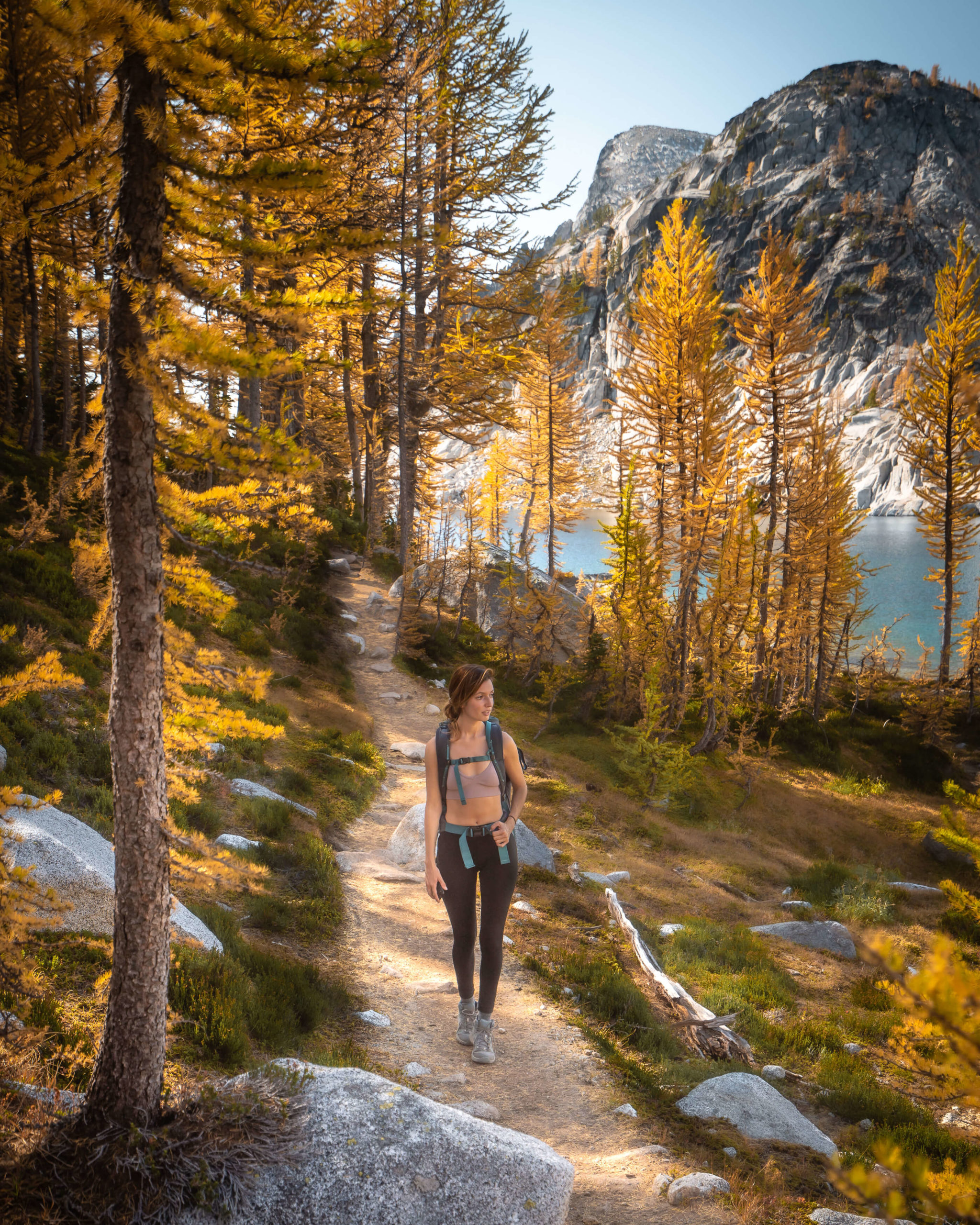North Cascades National Park golden larch trees