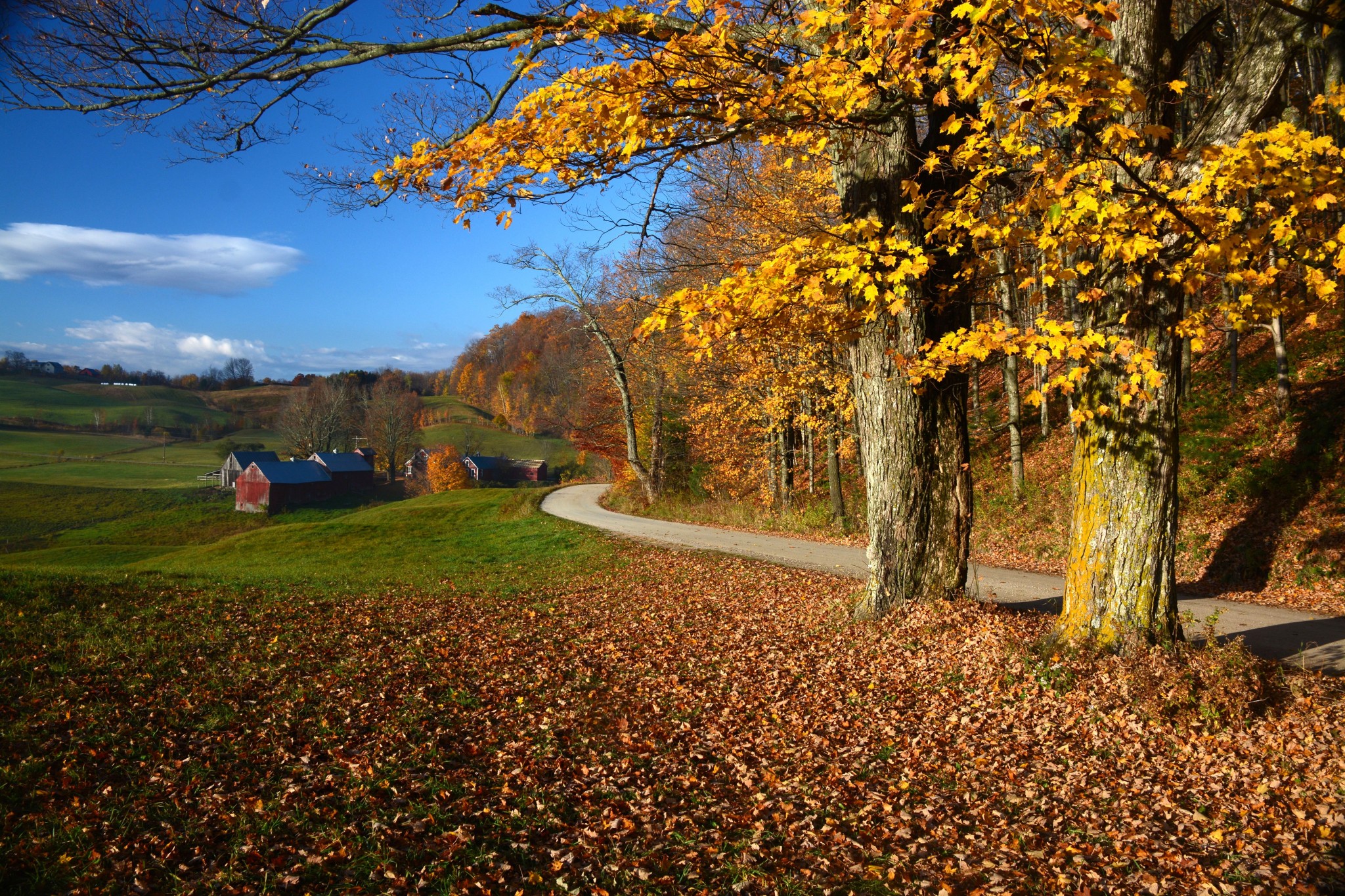 fall foliage road trip planning